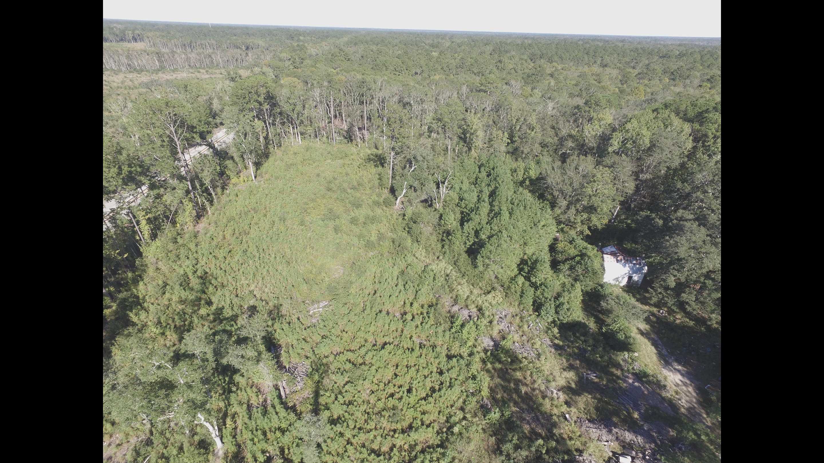 2 +/ ACRES OF TIMBERLAND